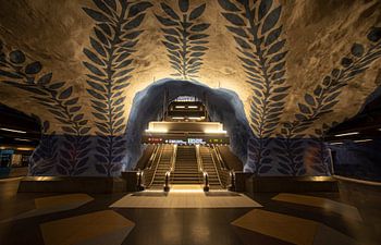Metrostation in Stockholm Delfsblauw by Wouter Putter Rawbird photos