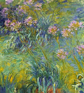 Claude Monet,Agapanthus