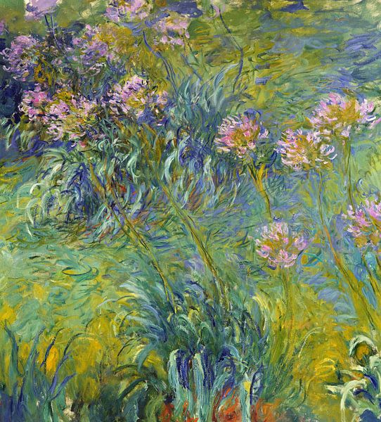 Claude Monet,Agapanthus van finemasterpiece