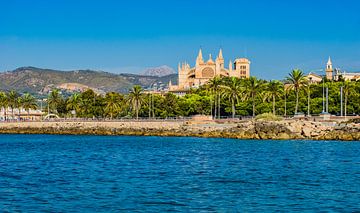 De kust van Palma de Majorca met zicht op de beroemde kathedraal La Seu van Alex Winter