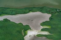 Aerial photo nature reserve contrast grey and green