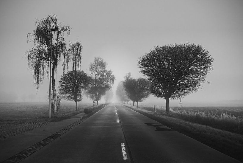 Unterwegs, nebliger Tag... von Rudi Everaert