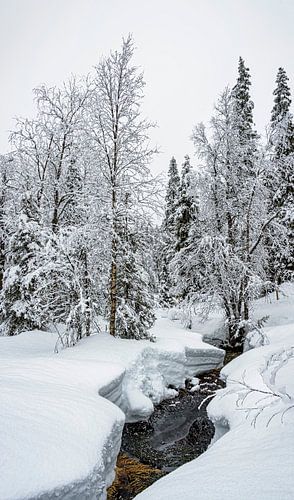 Beekje in het ijs, Finland