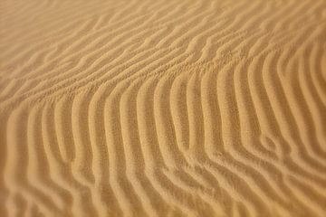 Motifs de vagues dans le sable du désert sur Tilo Grellmann