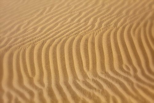 Golfpatronen in het woestijnzand