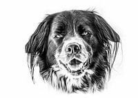 Portret van een hond in zwart-wit