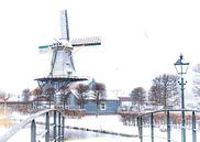 Houtzaagmolen De Salamander van Scholtes Fotografie thumbnail