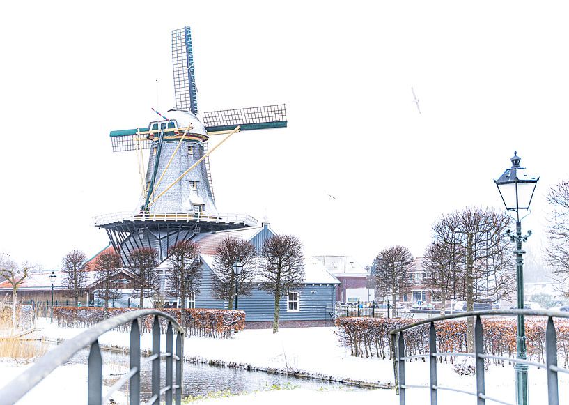 Houtzaagmolen De Salamander van Scholtes Fotografie