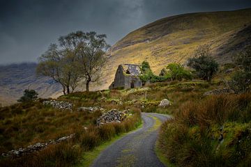 Black valley van Antwan Janssen
