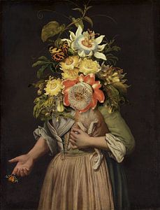 Pitocchetto