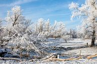 Winterlandschap van t.ART thumbnail