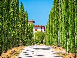 Laan en villa in Italië