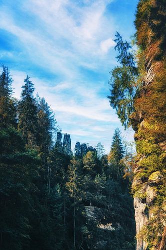 Kirnitzschtal tussen rotsen en zandstenen
