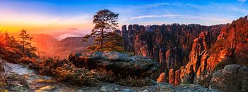 View into the Saxon Switzerland II