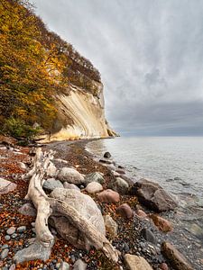 Oostzeekust op het eiland Moen in Denemarken van Rico Ködder