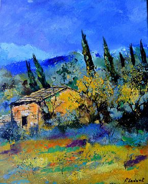 Cacanon in Provence by pol ledent