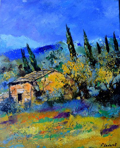 Cacanon in Provence