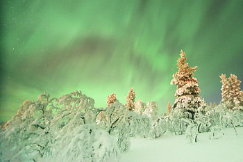 Noorderlicht met sneeuw in Finland