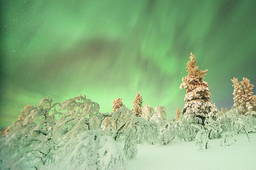 Aurore boréale sous la neige en Finlande par rik janse