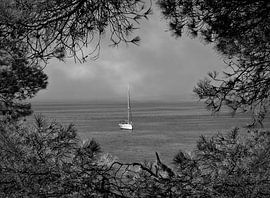 Weißes Segelboot auf dem Meer (schwarz und weiß)