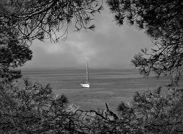 Witte zeilboot op de zee (zwart wit) van Maickel Dedeken