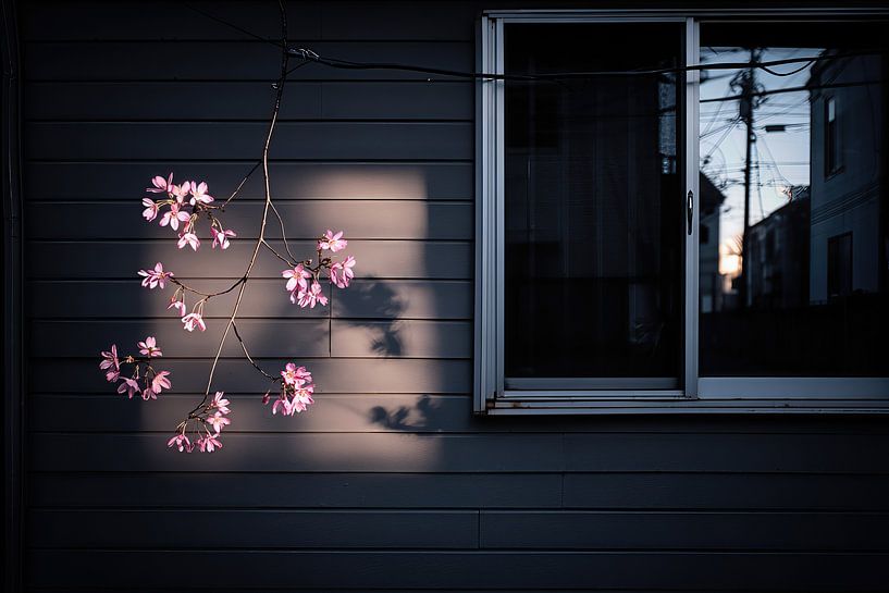 picturesque Japan architecture by Egon Zitter