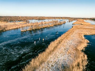 Schaatsen in de Weerribben-Wieden tijdens een koude winterdag van Sjoerd van der Wal Fotografie