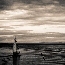 Zeilschip op de waddenzee van Marlon Dias