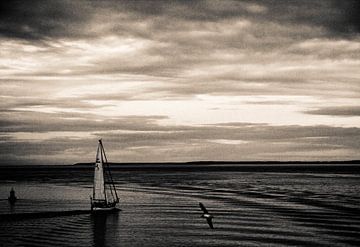 Sailing ship on the Wadden Sea by Marlon Dias