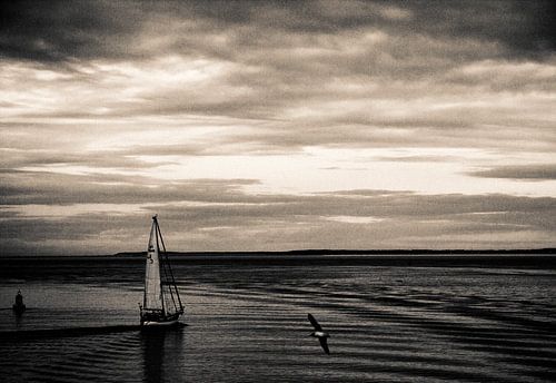Zeilschip op de waddenzee
