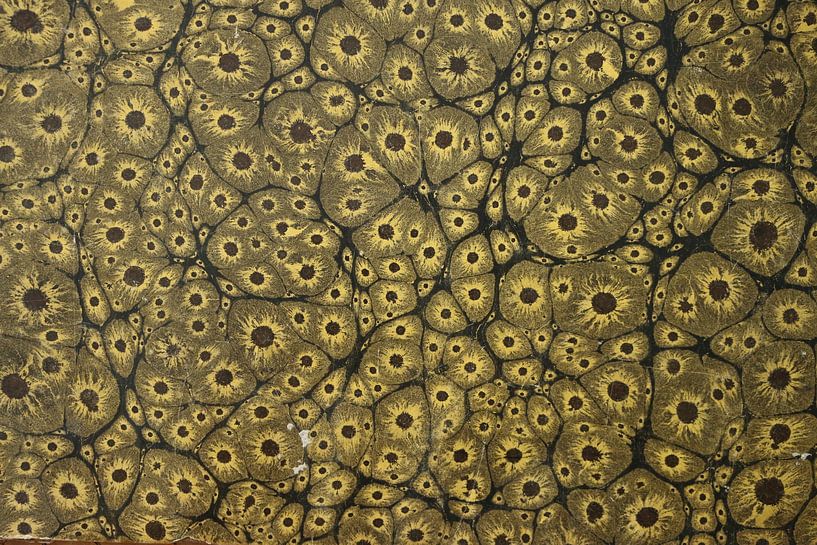 Art numérique Motif coloré Marbré Cellules par Michael Godlewski
