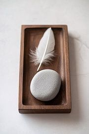 Calming zen nature composition by Imperial Art House