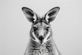 Känguru in Schwarz-Weiß von Poster Art Shop