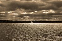 Gooimeer