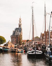 Horn by Marleen Kuijpers @themissmarple