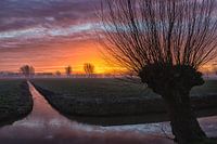 Morning glow