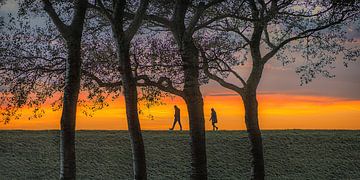 De IJsselmeerdijk bij Makkum met wandelaars in zonsondergang kleur van Harrie Muis