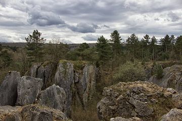 rotsachtig landschap van de Ardennen  van bart Verboven
