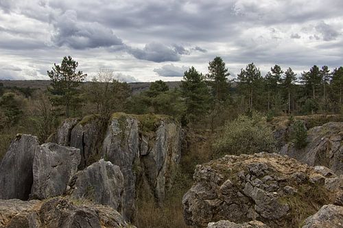 rotsachtig landschap van de Ardennen 