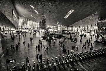 Central Station @ Rotterdam