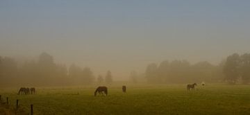 Mooi Twente