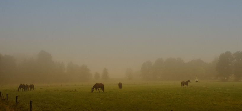 Mooi Twente van Frank Bruins