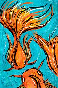 Koi