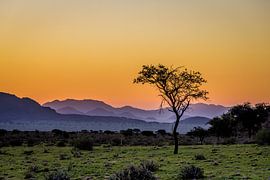 Sonnenuntergang in Namibia von Opmeer Reports