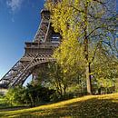 Eiffeltoren in de herfst. van David Bleeker thumbnail