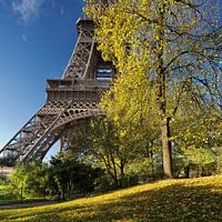 Eiffel Tower in Autumn, Paris