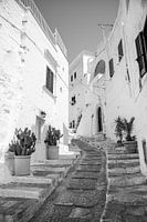 Straatje naar boven | Capri (Italië) | Reisfotografie | Zwart-wit