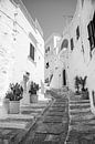 Straatje naar boven | Capri (Italië) | Reisfotografie | Zwart-wit van Monique Tekstra-van Lochem thumbnail