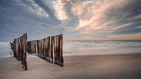 Strandpalen voor een pastelkleurige avondlucht en zee