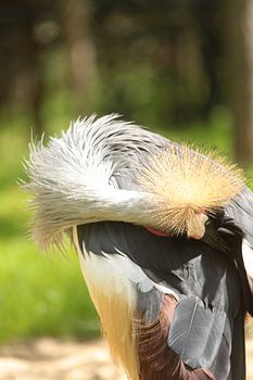 Oui, vous avez raison Gerrit.